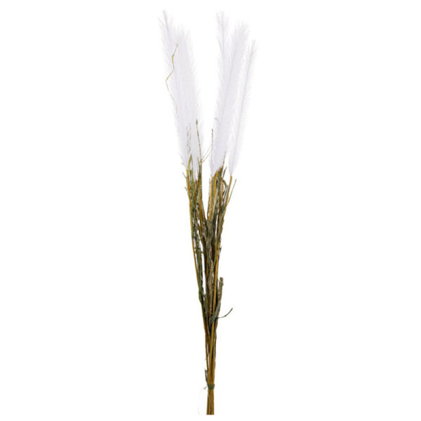 Τεχνητό Φυτό Κλαδί Πενισσέτο Λευκό 86 εκ