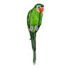 Παπαγάλος Υφασμάτινος Πράσινος 46x12x12cm - 85318