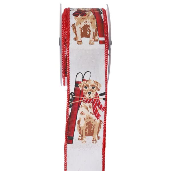 Κορδ. Dog With Ski 5.5Cmx9M