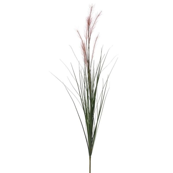 Ροζ Κλαδι Pampas 70Ek