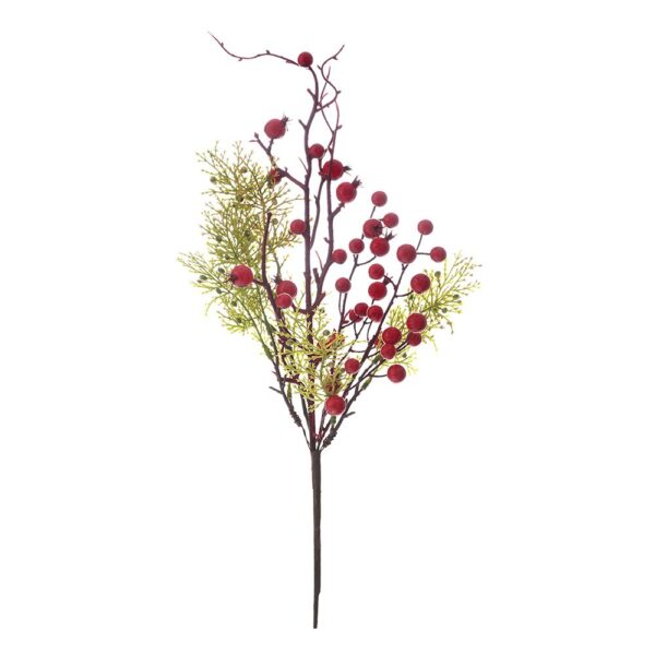 Κλαδι Με Μικρα Κοκκινα Ροδια Και Berries 65Εκ