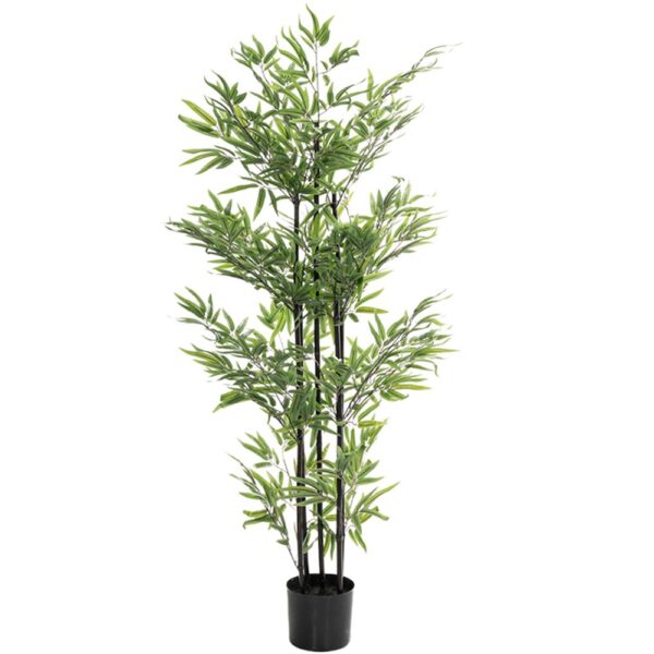 Φυτο Bamboo 150Εκ. Χ4 Σε Μαυρη Πλαστικη Γλαστρα