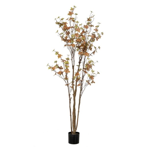 Φυτο Enkianthus Με 310 Φυλλα 170Εκ Σε Πλαστικο Κασπω Φ15Χ12.5Εκ