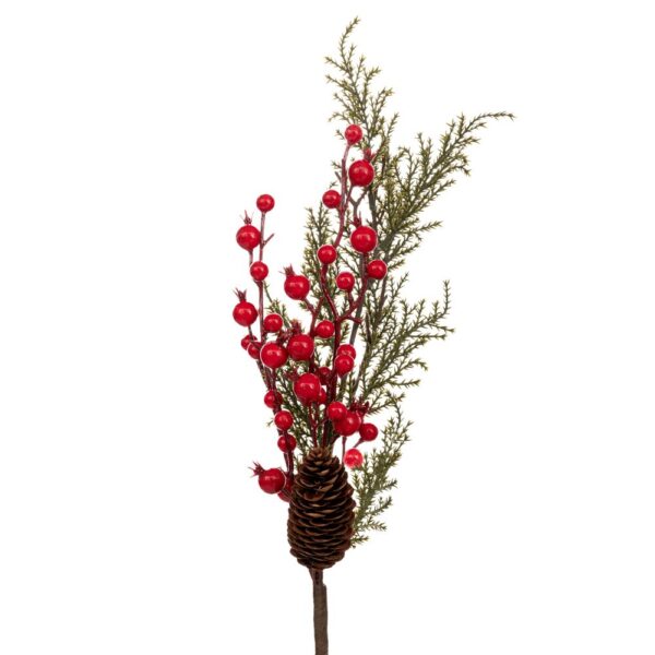 Πρασινο Κλαδι Με Κουκουναρια Και Berries 55Ek