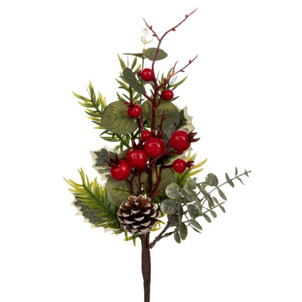 Πρασινο Κλαδι Με Κουκουναρια Και Berries 85Ek